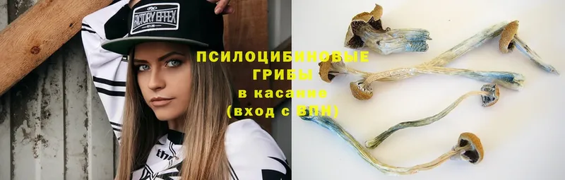 Псилоцибиновые грибы MAGIC MUSHROOMS  Заозёрный 